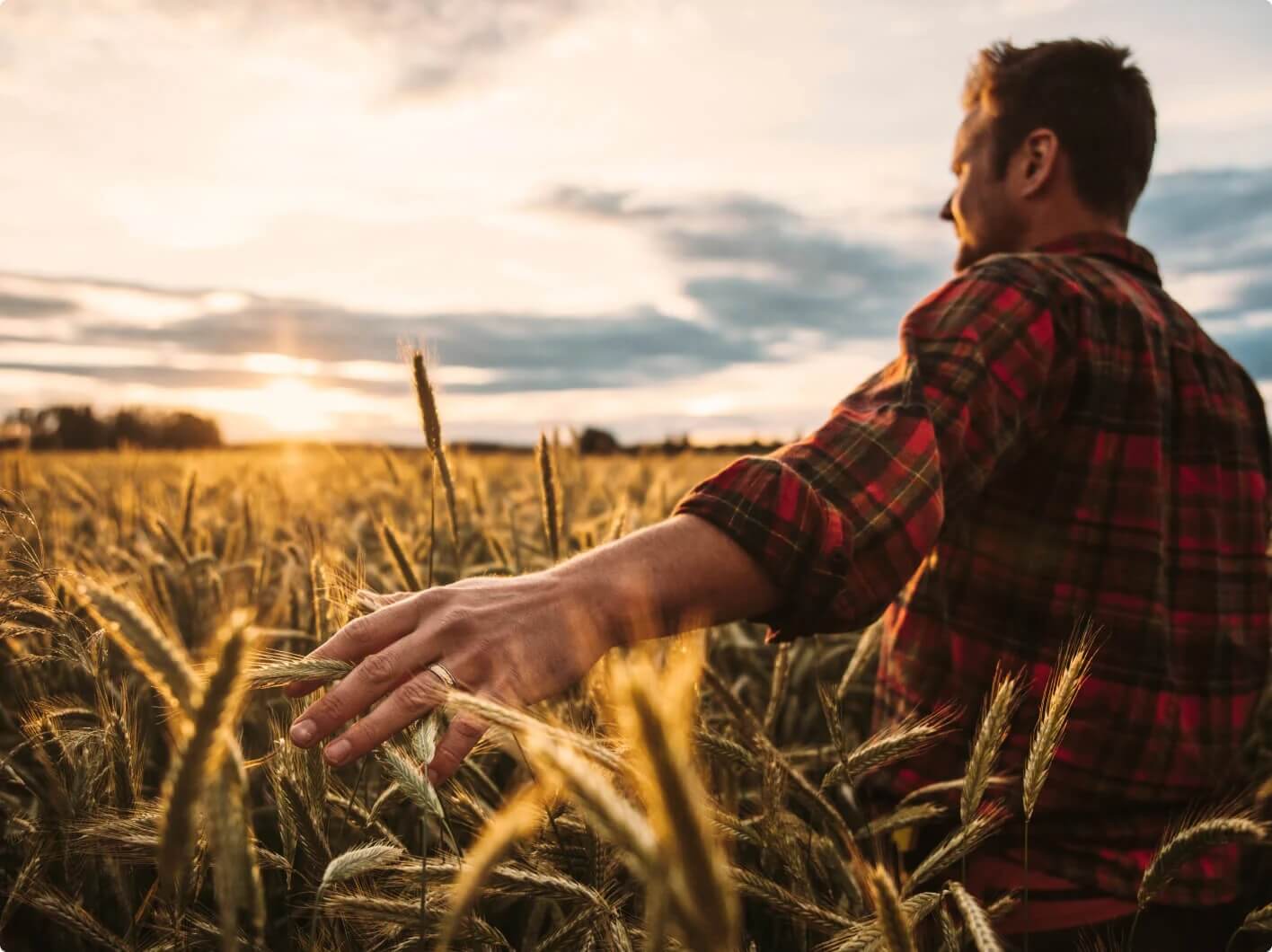 precision-farming