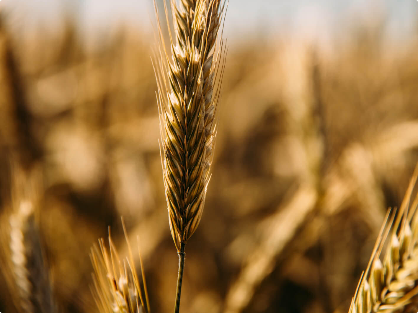 Precision farming