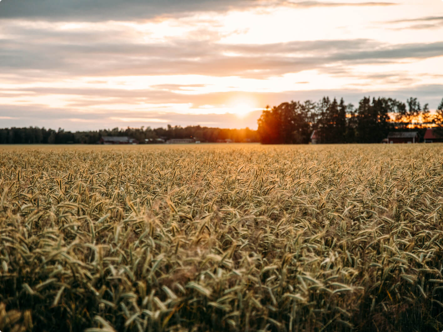 biofuels