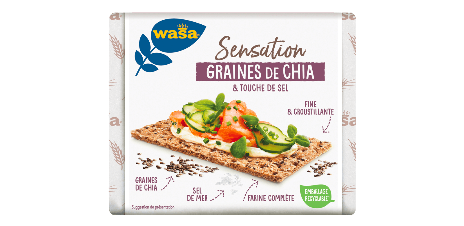 Graines de Chia