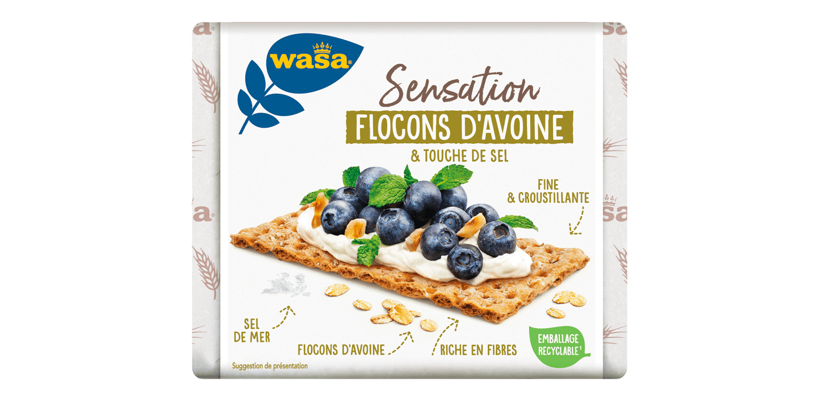 Flocons D'Avoine